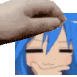 /pet